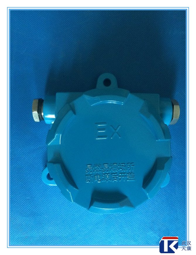 壁掛式防爆熱電阻/pt100、4-20mA輸出